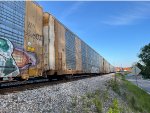 CTTX 690359